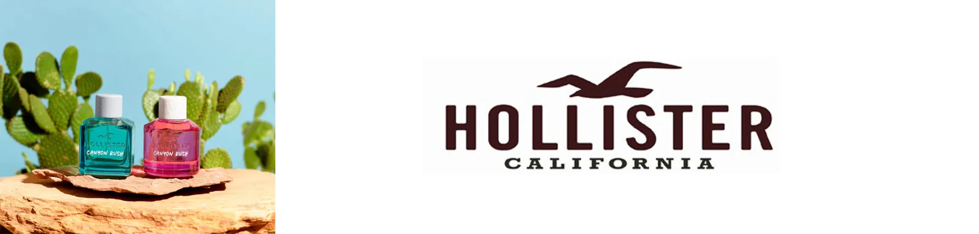 Hollister